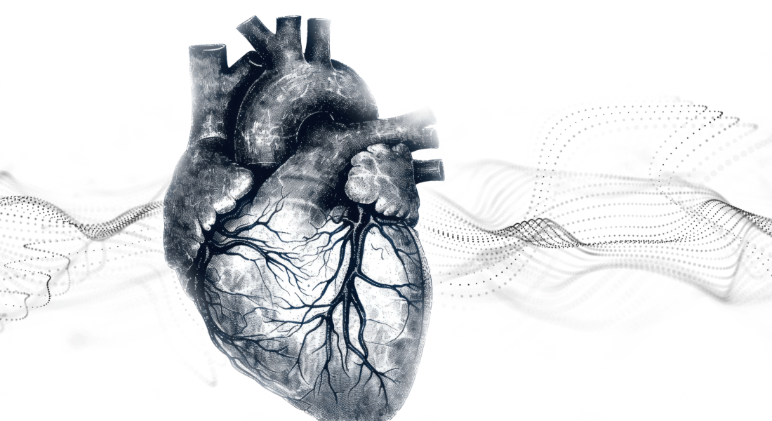 illustration of anatomical heart and data flow