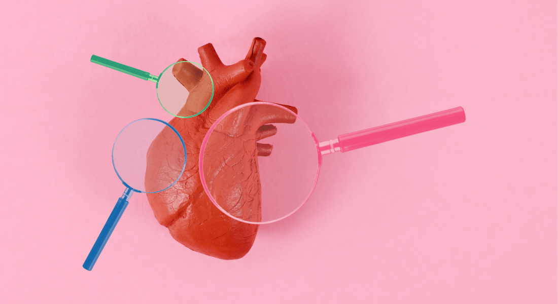 Illustration, der viser model af anatomisk hjerte og tre forstørrelsesglas