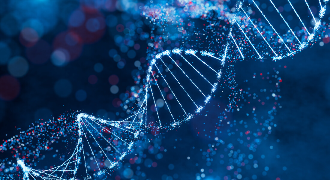 Illustration der viser et DNA-stykke